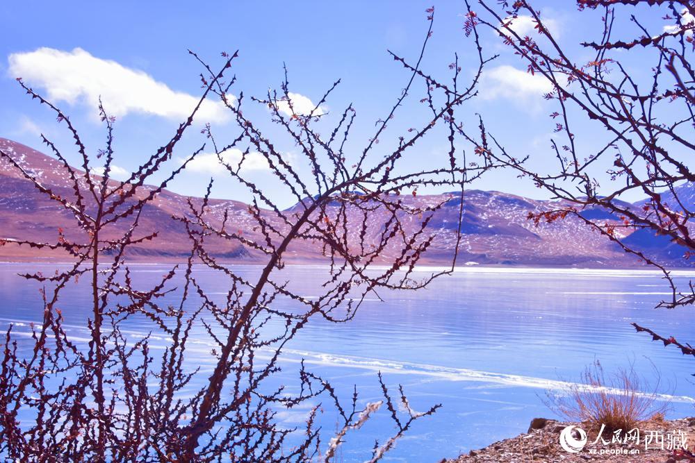 春が到来し、氷が融けたヤムドク湖　チベット