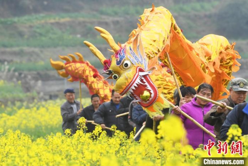 旧暦2月2日は「竜抬頭」、菜の花畑で竜の舞踊り幸福を祈る村民　重慶