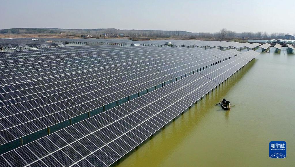 「養殖・太陽光相互補完」で村人に利益　安徽省