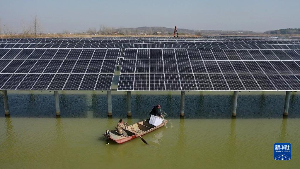 「養殖・太陽光相互補完」で村人に利益　安徽省