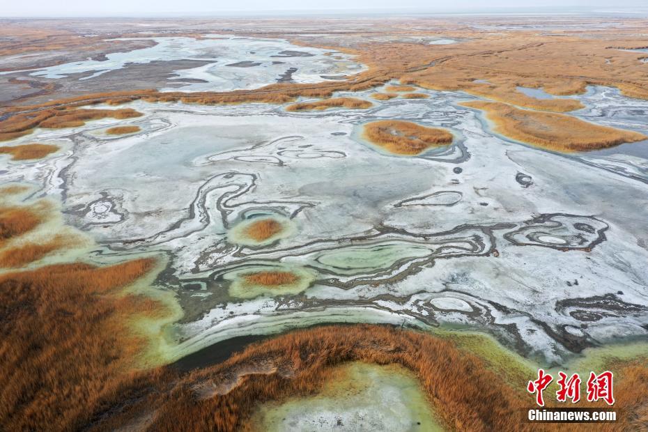 上空から撮影したエビ湖湿地に広がる春景色　新疆