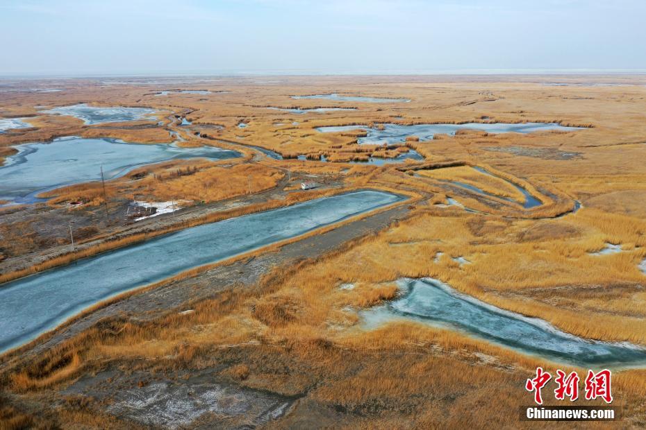 上空から撮影したエビ湖湿地に広がる春景色　新疆