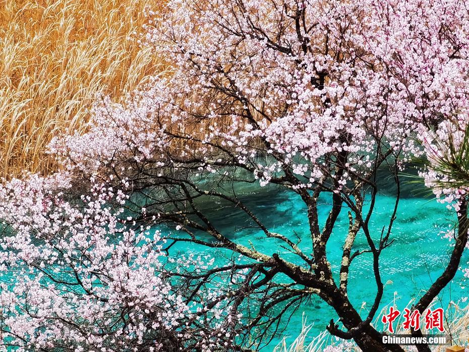 雪と氷が融けて麗らかな春訪れた九寨溝　四川省