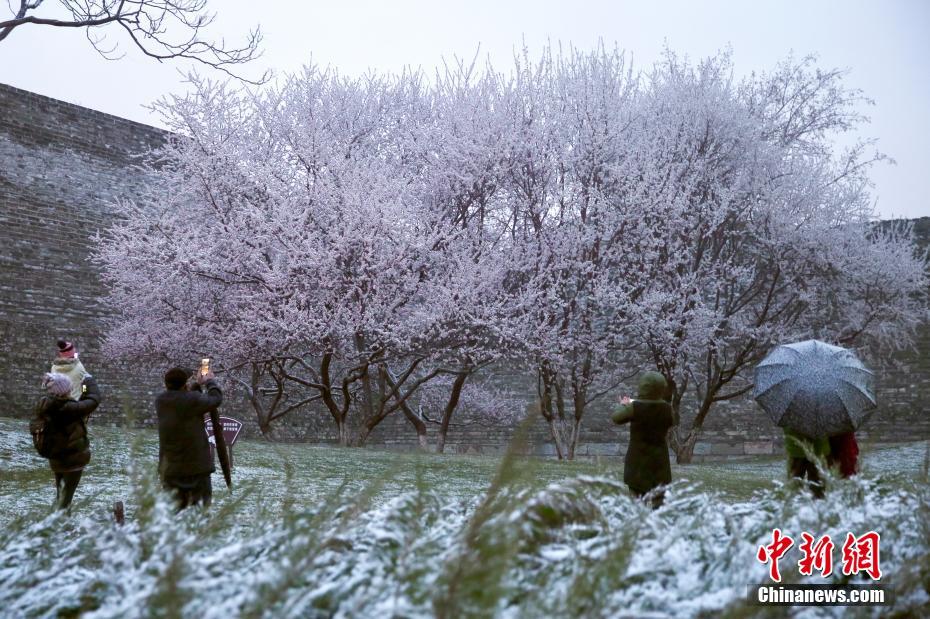 北京で降雪　気温が大幅に低下