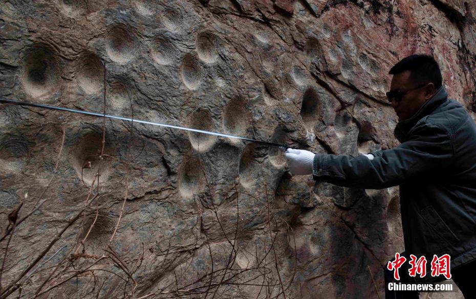 青海省玉樹、通天河最大の凹穴岩画群見つかる　推定数千年前