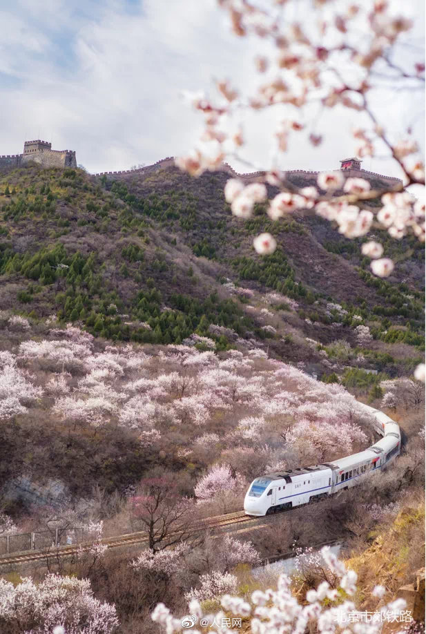 【音声ニュース】美しい景色が人気、「春に向かう列車」S2線が1日7往復運行へ