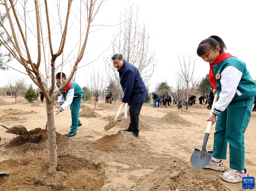 習近平総書記が北京の植樹活動に参加