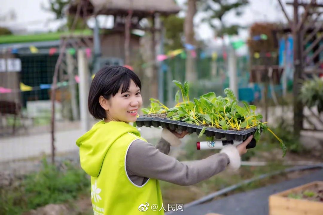 自足自給！4平方メートルの自宅屋外スペースで野菜を栽培する浙江省の女性