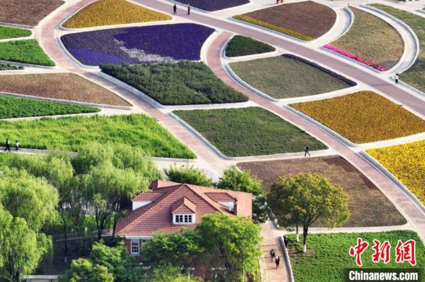 南京中国緑化博覧園のカラフルな花が作り出す「超特大パレット」（撮影・泱波）。