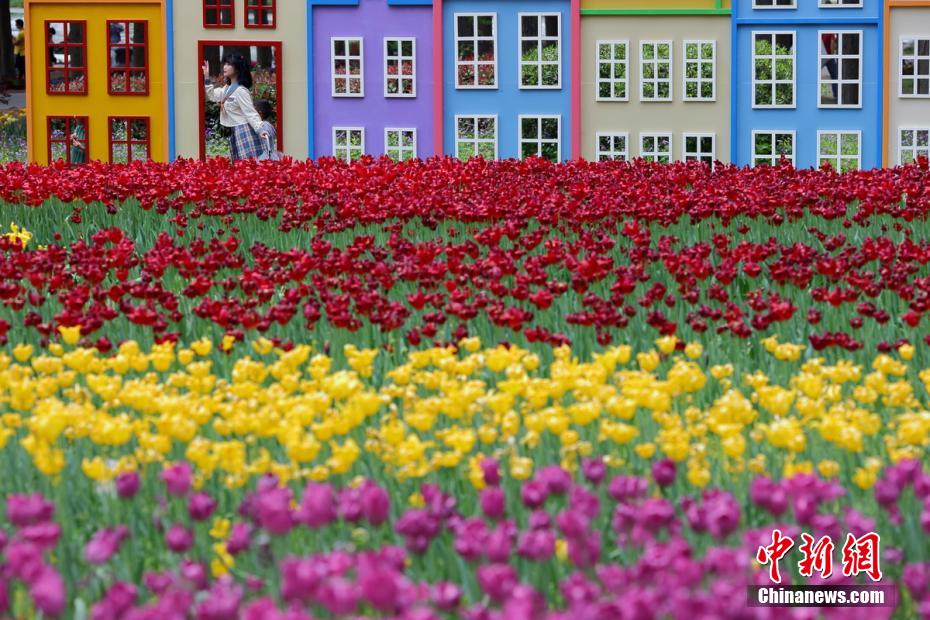 江蘇省南京市で、花々が一斉に開花して花咲き乱れる春の景色が広がる紫金山（撮影・泱波）。