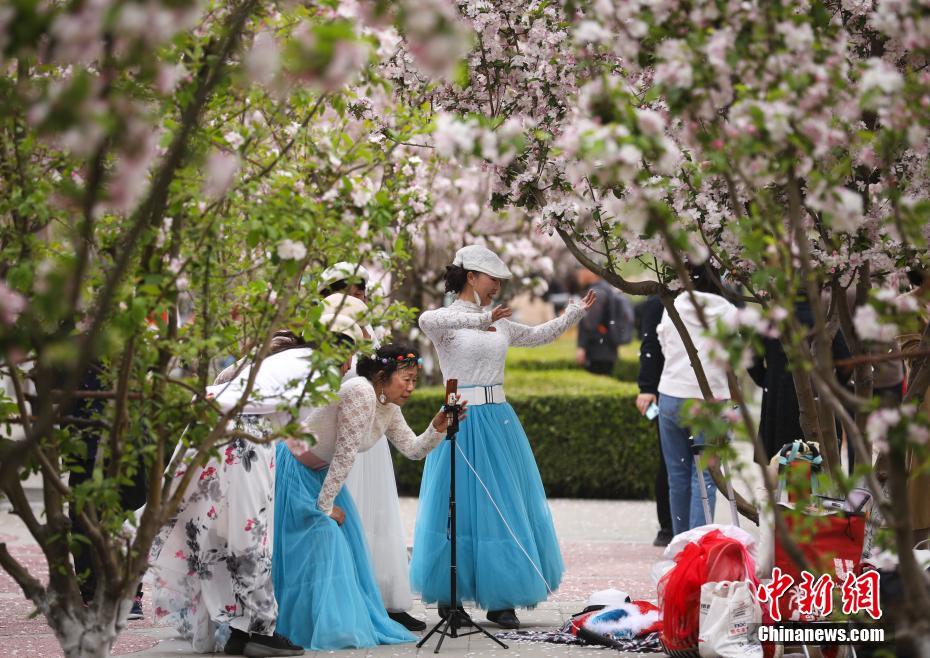 元大都遺跡公園のカイドウの花が満開に　北京