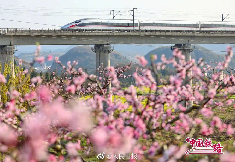 春の息吹を感じられる花と列車の織りなす風景