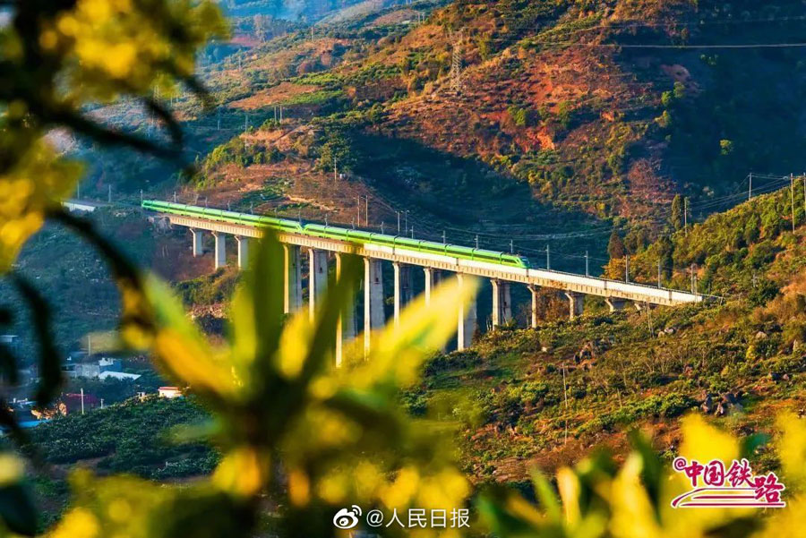 春の息吹を感じられる花と列車の織りなす風景