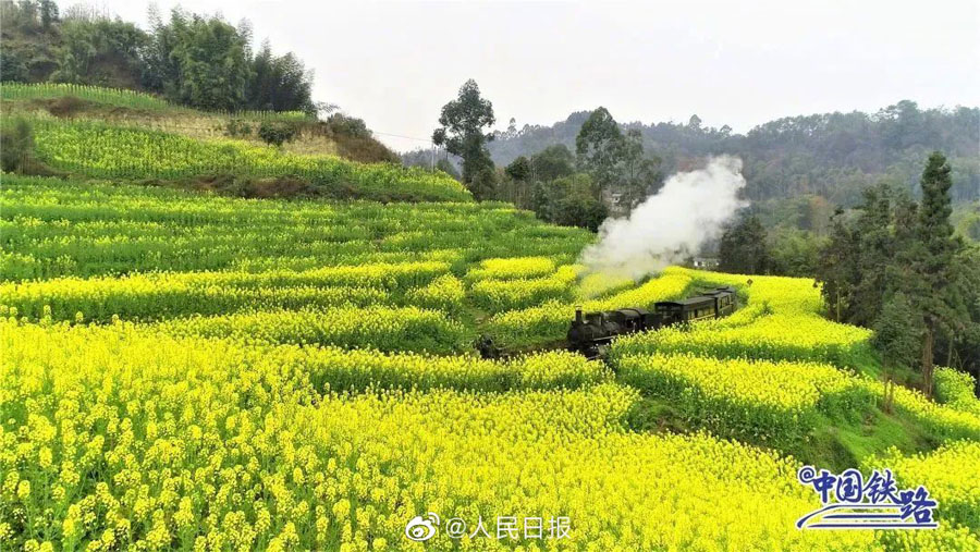 春の息吹を感じられる花と列車の織りなす風景