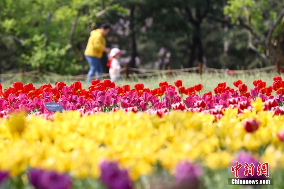 国家植物園が北京市にオープン