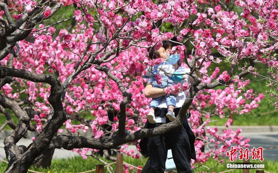 国家植物園が北京市にオープン