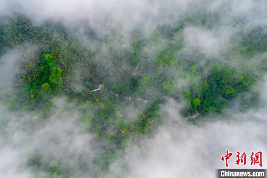 立ち上る霧がたなびく美しい郷村の春の風景　江西省
