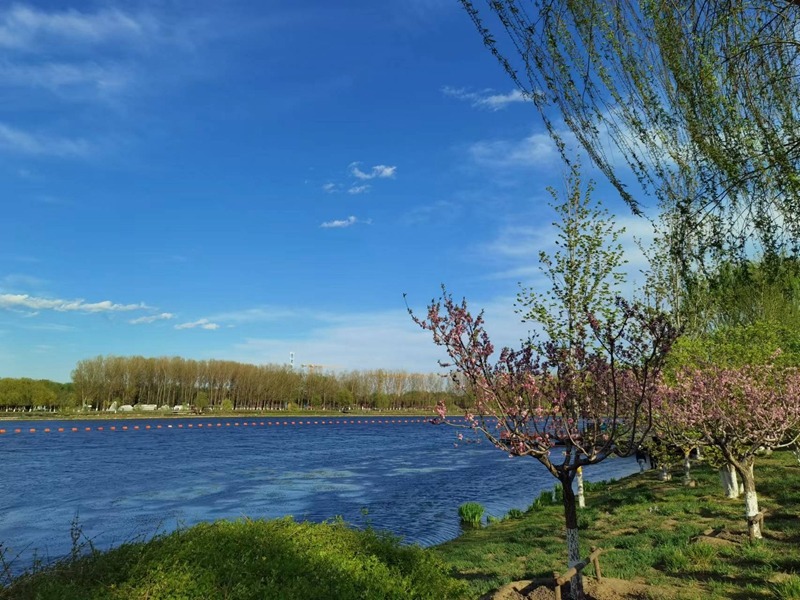 春の京杭大運河を訪ねて