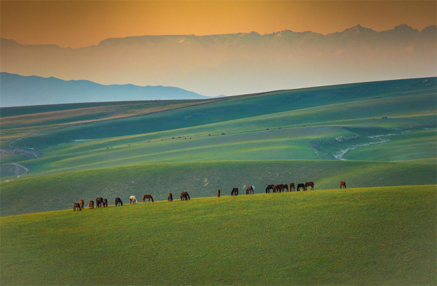たおやかで美しい加烏爾山草原　新疆