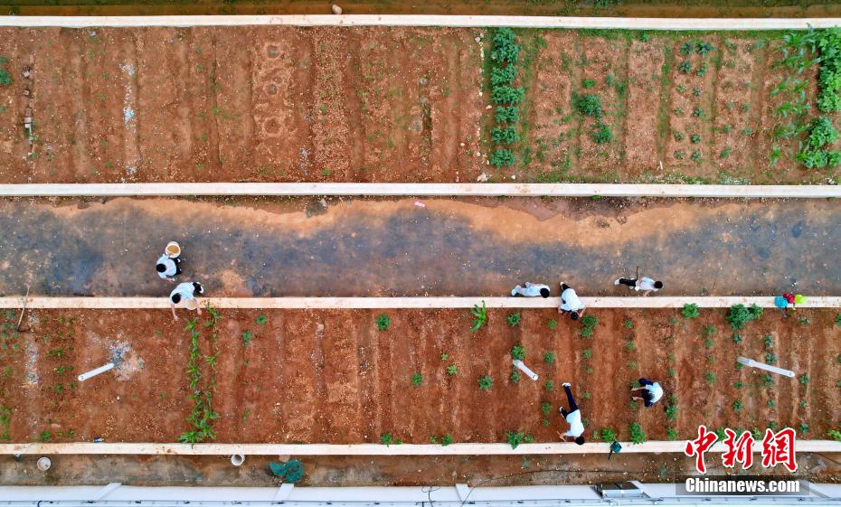 江西省贛州市の学校に「屋上菜園」 生徒が「農夫」に