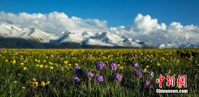 人々を魅了する満開の花々　新疆ウイグル自治区イリ・カザフ自治州