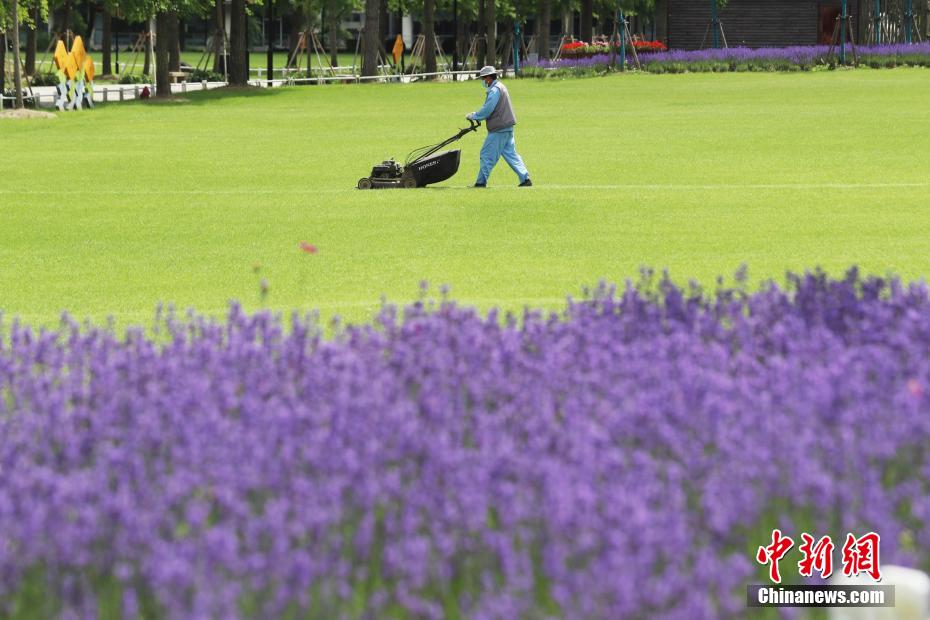 営業再開に向け準備を進める上海世紀公園