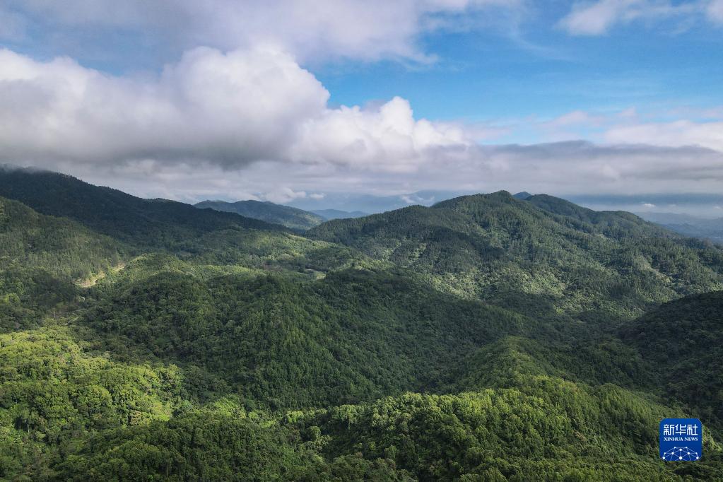 上空から眺めた緑豊かな五指山　海南省