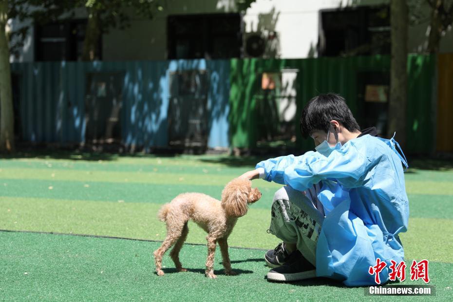 屋外で飼い犬の遊び相手をするスタッフ（5月26日撮影・蒋敬明）。
