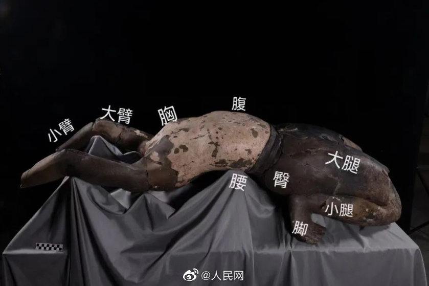 秦始皇帝陵博物院が修復が完了した珍しい「仰向けの俑」を初公開