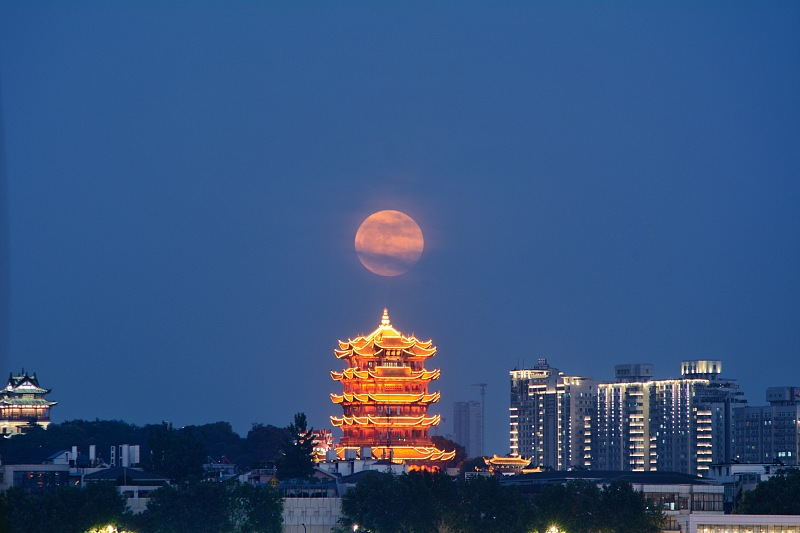 6月14日、武漢市漢陽江灘にある黄鶴楼の上に浮かんだストロベリームーン（写真著作権はCFP視覚中国が所有のため転載禁止）。