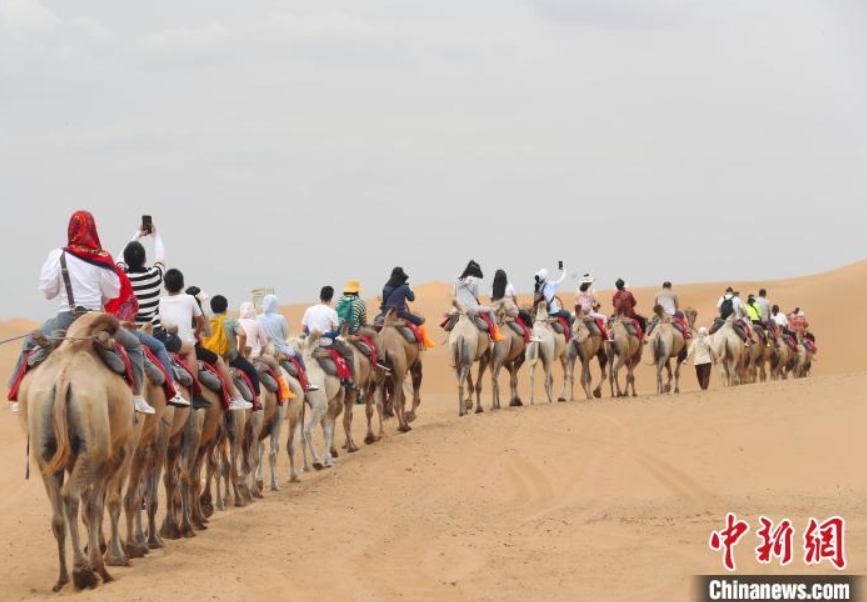 寧夏回族自治区中衛市沙坡頭景勝地で、ラクダに乗って砂漠を進む観光客（撮影・于晶）。