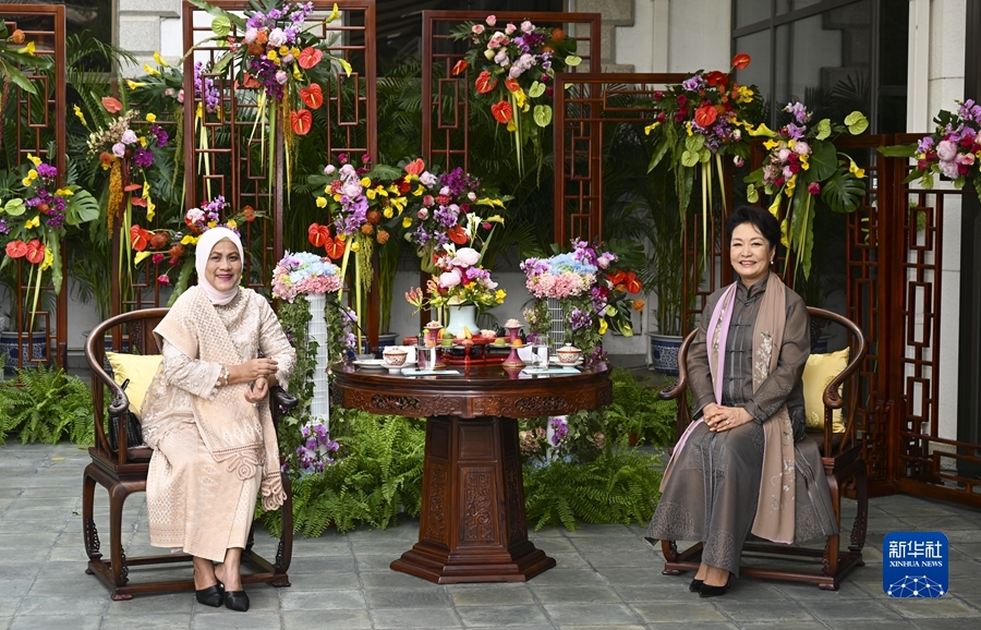 彭麗媛夫人がインドネシア大統領夫人と会見