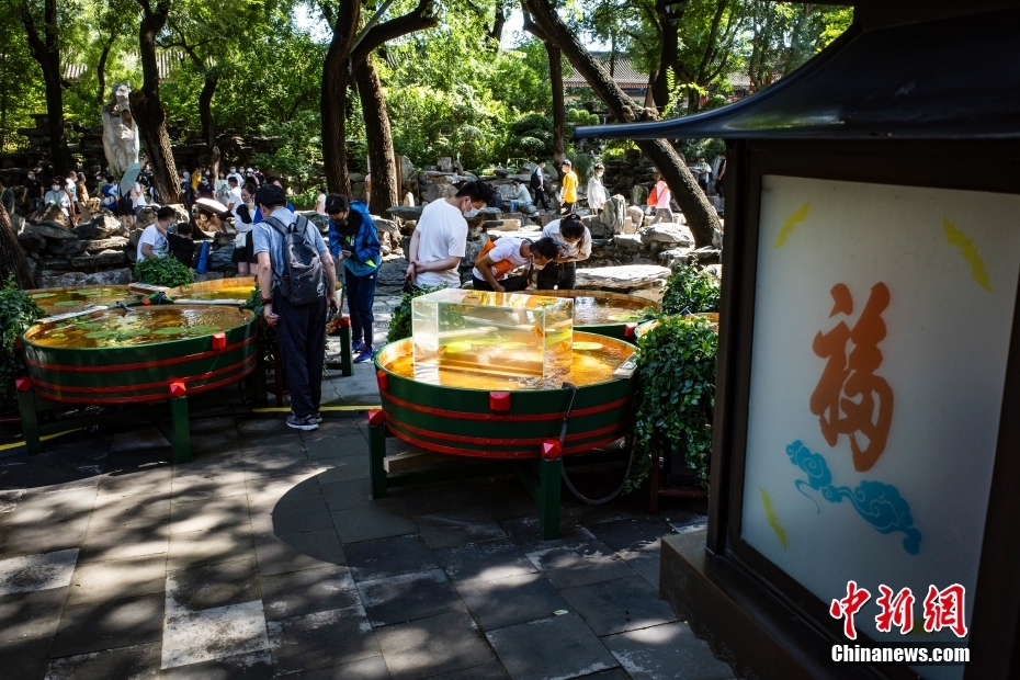 夏の恭王府で「木海観魚」を楽しむ人々　北京