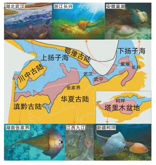 4億3800万年前の長江流域、広大な「揚子海」だった