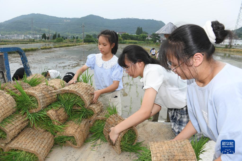 豊かな自然の中で学習イベント　夏休みの浙江省紹興