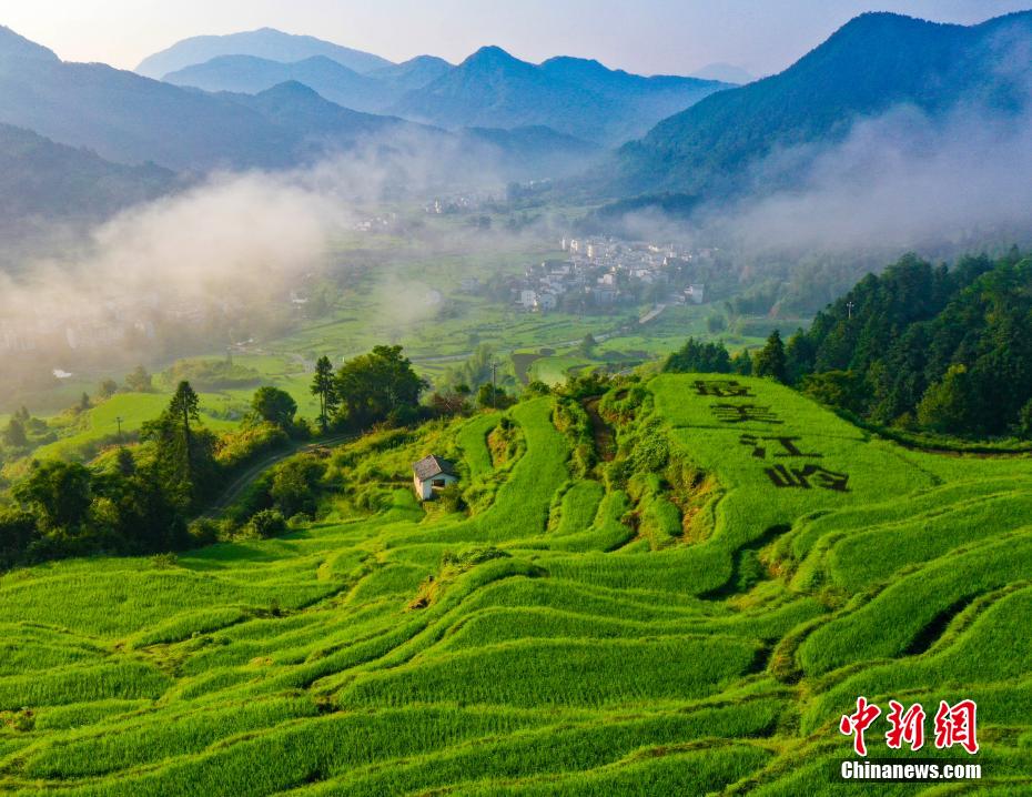 8月2日、上空から撮影した「中国で最も美しい農村」とされる江西省上饒市婺源県の江嶺棚田（撮影・詹東華）。