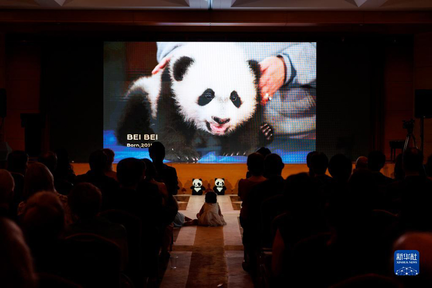 在米中国大使館が「パンダ・ナイト」レセプションを開催