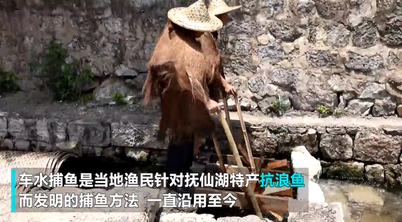 水車を使った「捕魚車漁」、「抗浪魚」の習性利用　雲南省撫仙湖