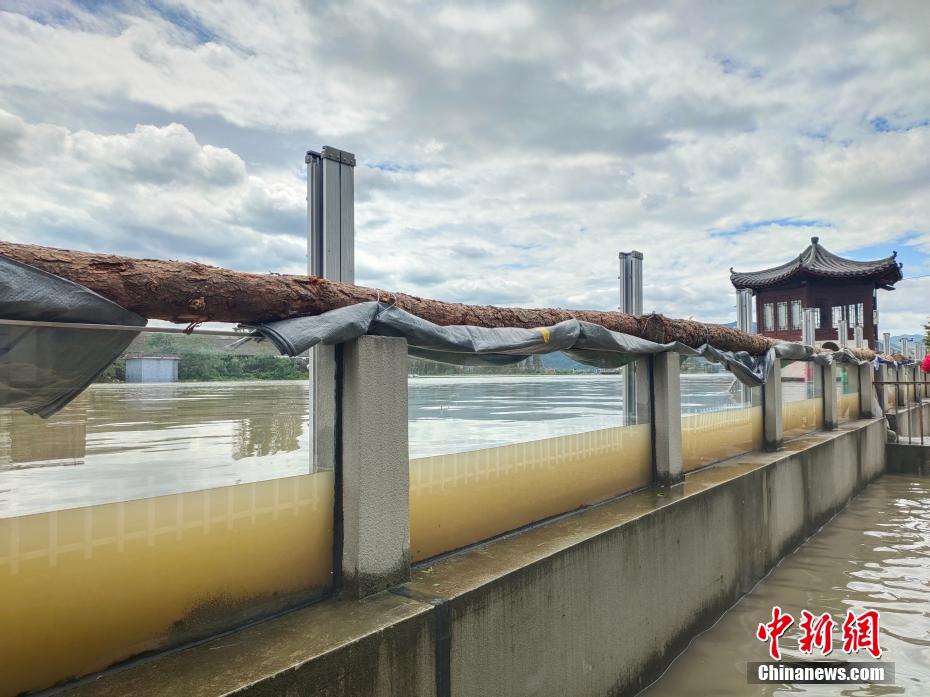 台風通過後、「洪水予防の神器」で水遊びや魚観賞を楽しむ市民　　浙江省余姚市