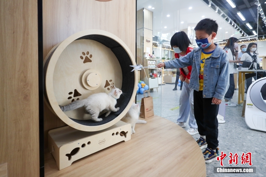 「ペット」をテーマとする初の新華書店がオープン　北京
