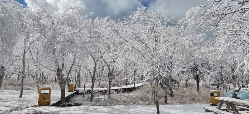 木々の梢にも美しく雪化粧　黒竜江・鳳凰山に初雪
