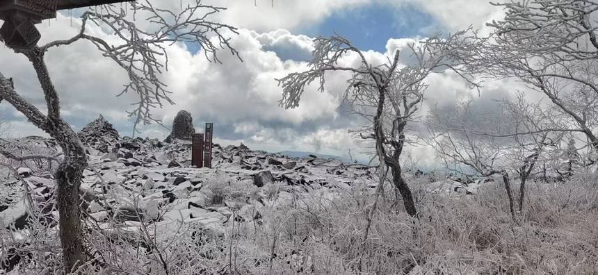 木々の梢にも美しく雪化粧　黒竜江・鳳凰山に初雪