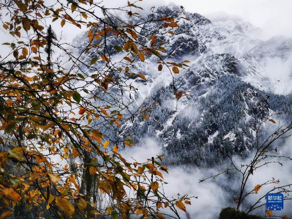 秋の初雪で幻想的な美しさたたえる九寨溝景勝地　四川省