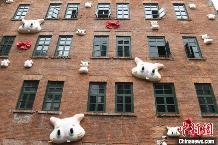 「猫の壁」が登場！キュートな姿が市民の人気の的に　重慶