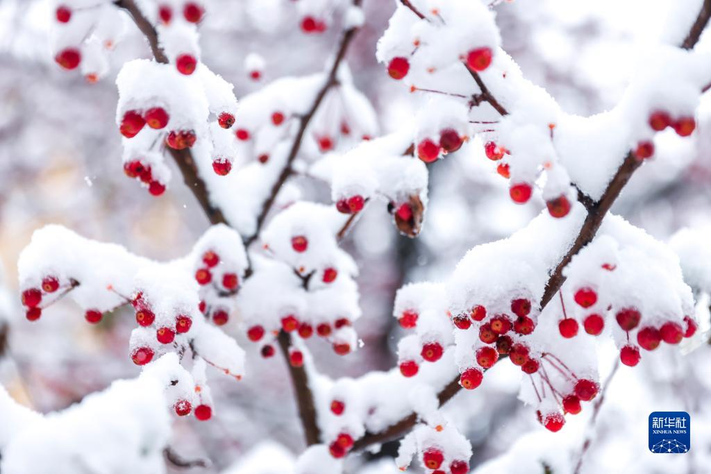 吉林省各地で気温低下、降雪を観測