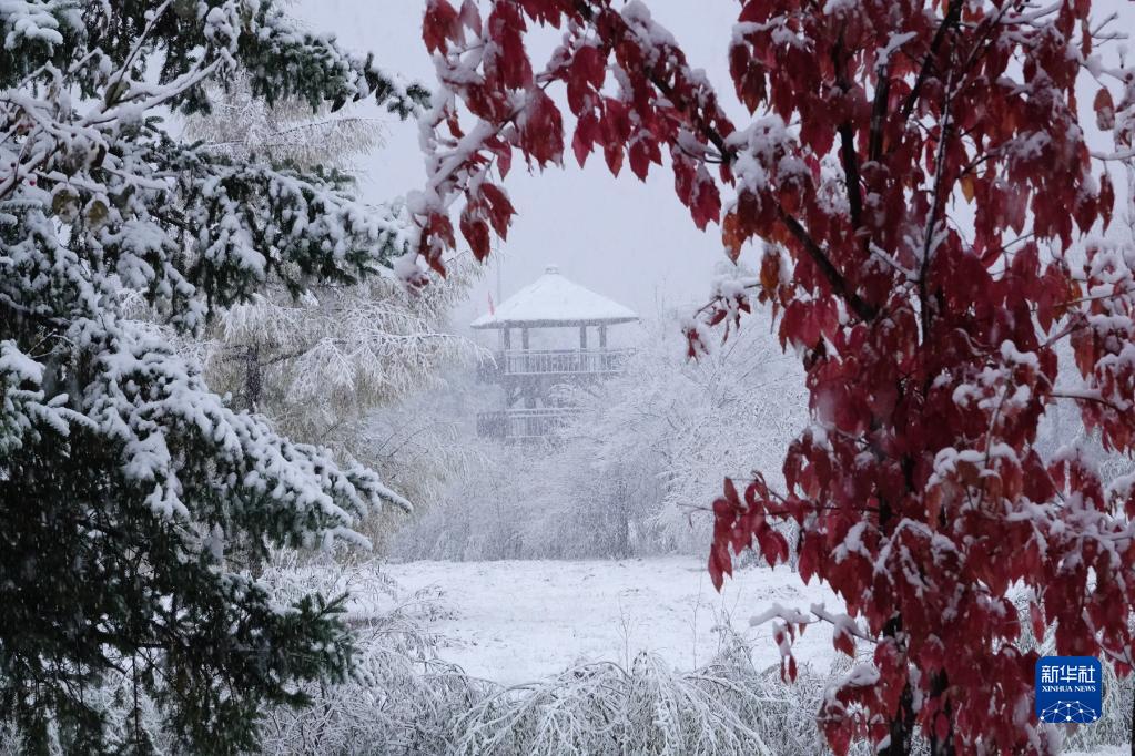吉林省各地で気温低下、降雪を観測