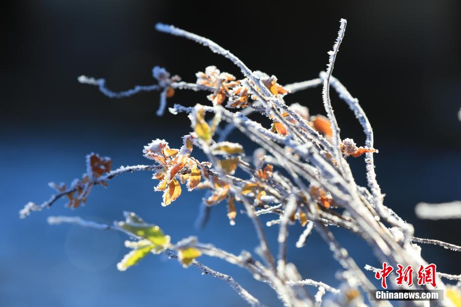 晩秋に「氷の花」咲く内蒙古大興安嶺