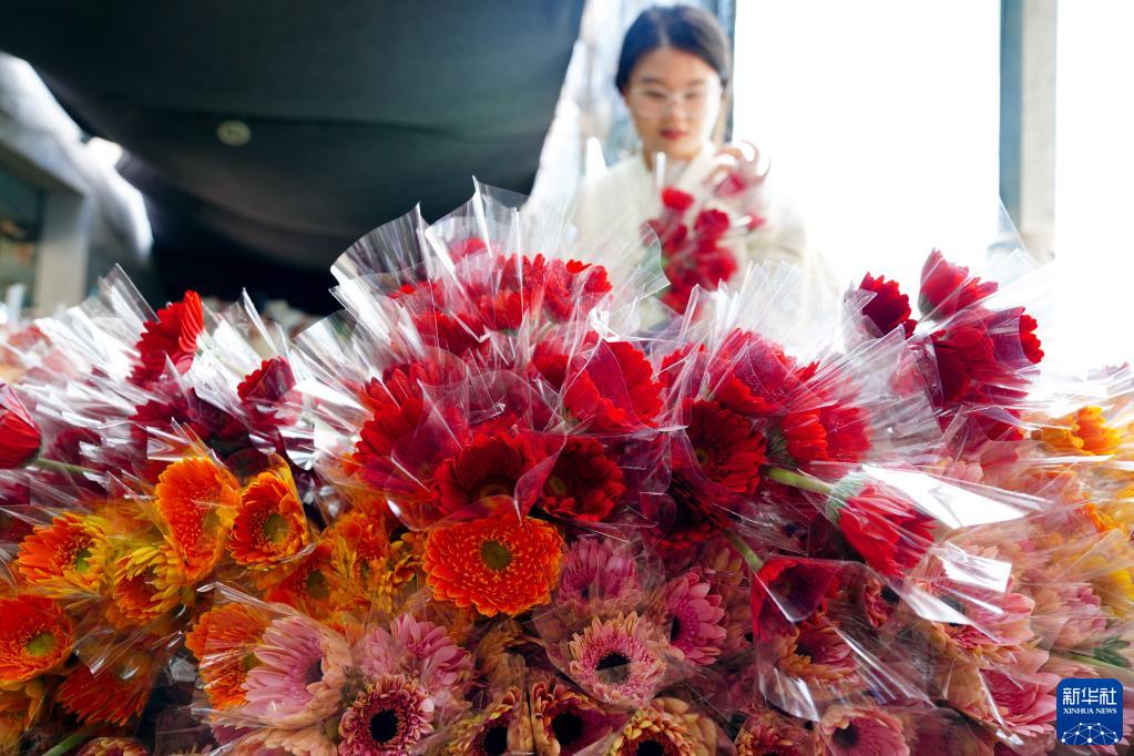 農村振興の道を切り拓く生花　山東省莒県