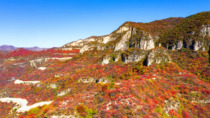 秋色に染まった木々に覆いつくされた太行山　河北省