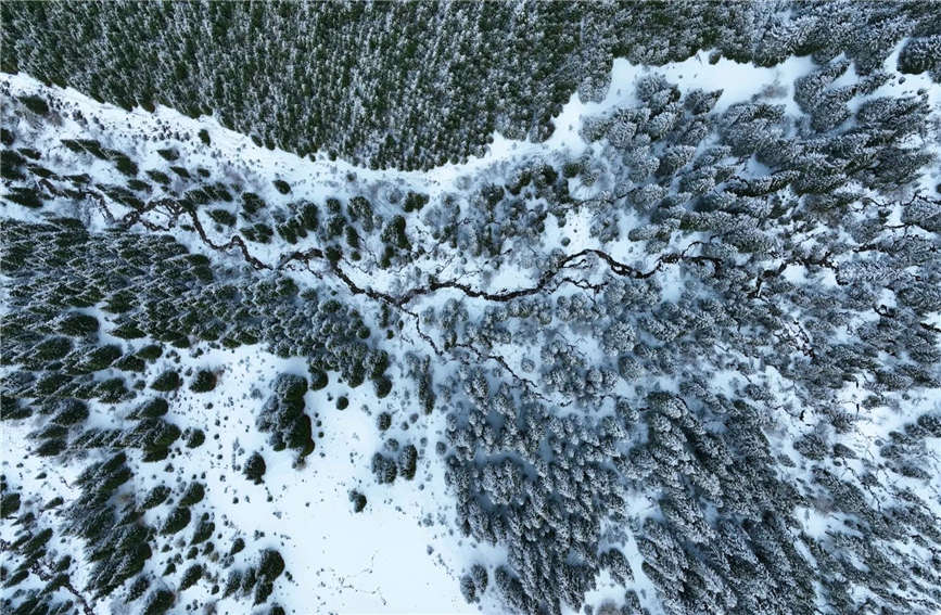 詩情あふれる水墨画のような雪景色　新疆